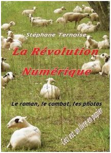 gros livre 2013 La Révolution Numérique